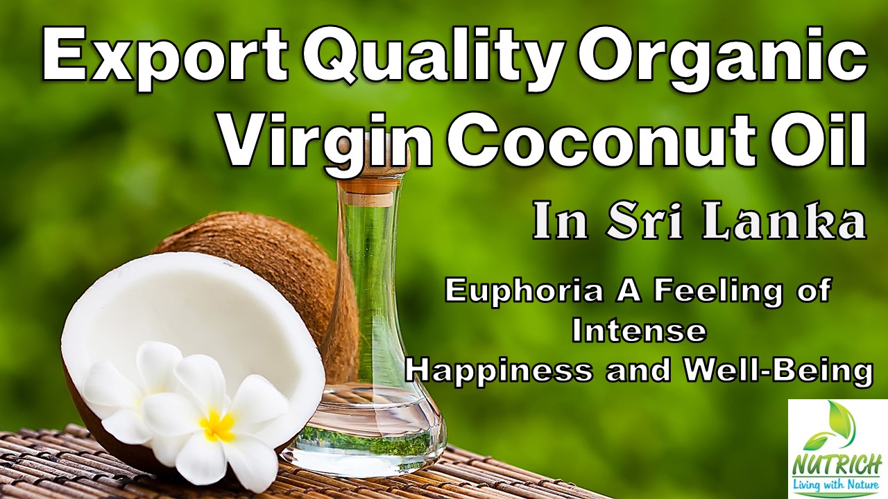 Export Coconut Products